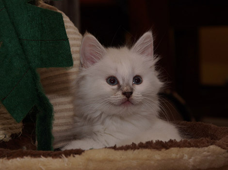 Sally am 13.7.2014